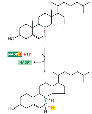 ECB5_CP_0303